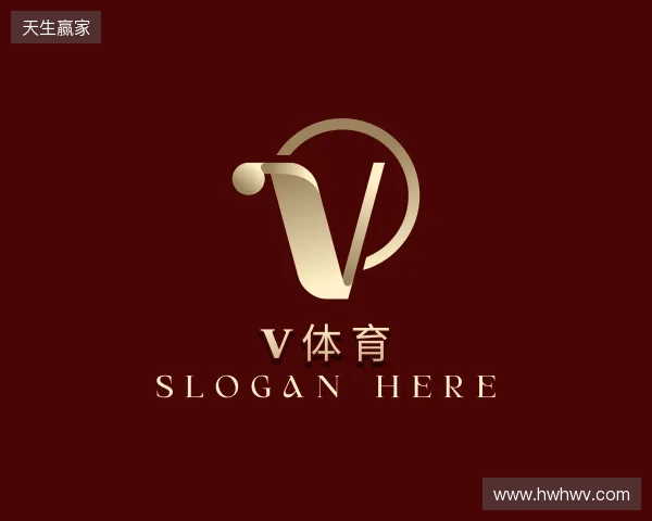 介绍V体育-VSport